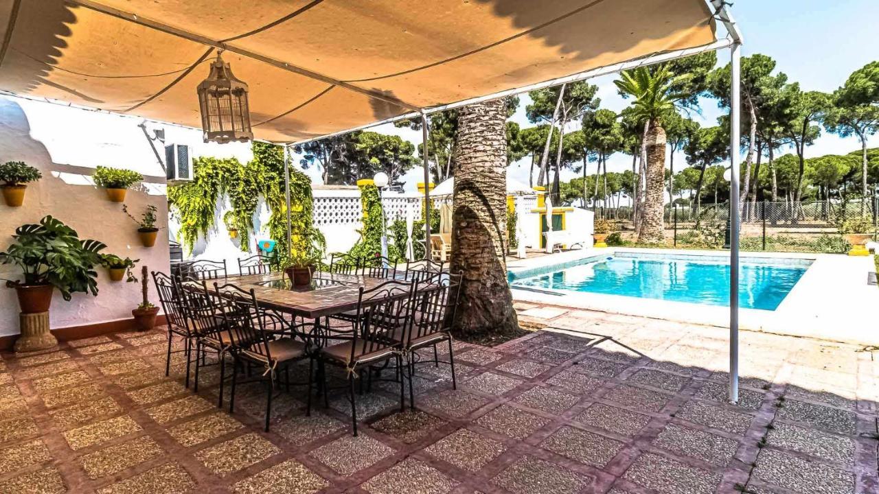 Hacienda típica sevillana en Marchena Lugar ideal para ver Andaluci Exterior foto