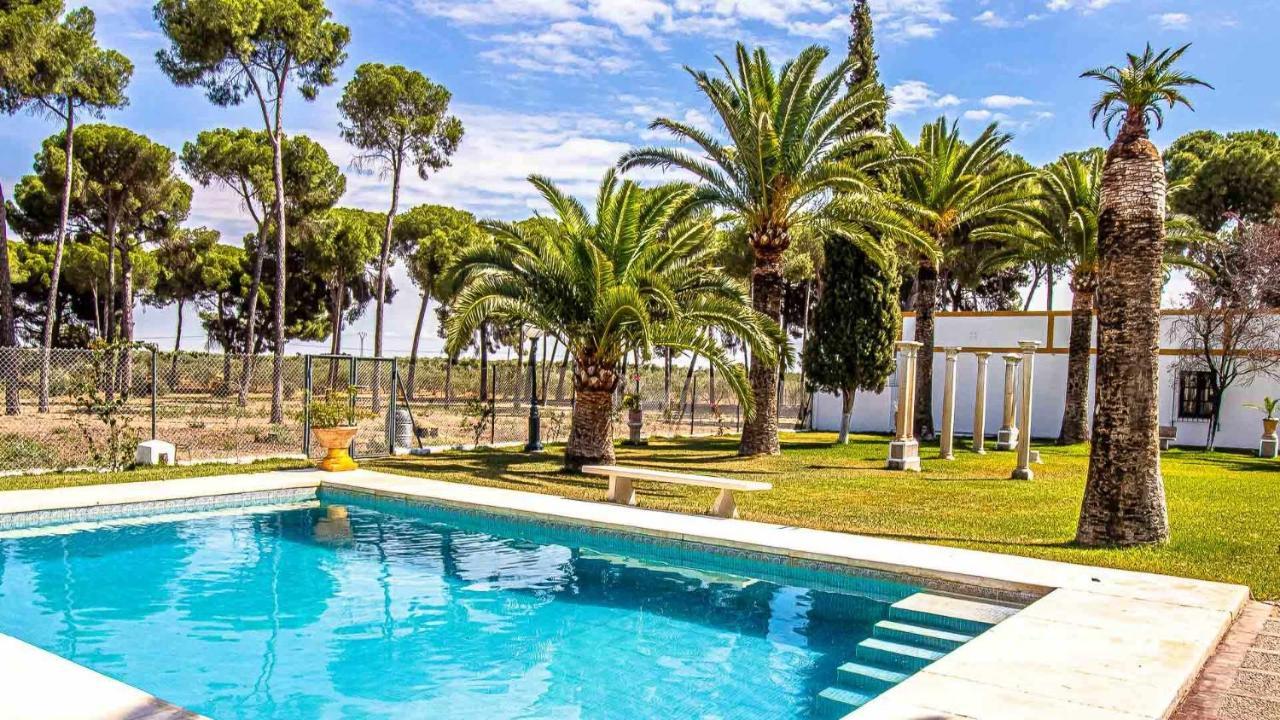 Hacienda típica sevillana en Marchena Lugar ideal para ver Andaluci Exterior foto